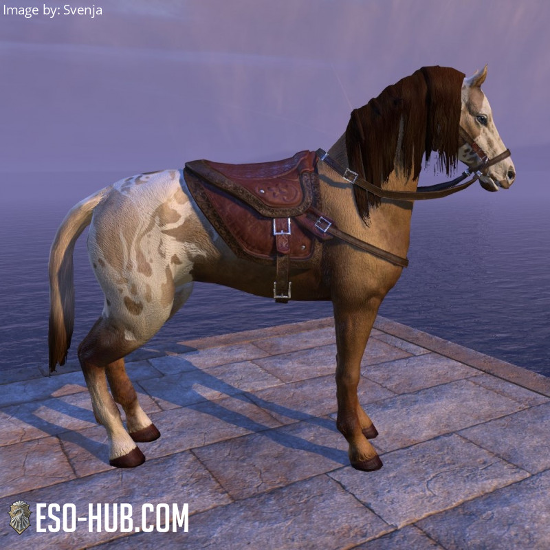 Sungold Bay Thoroughbred ESO Hub Elder Scrolls Online