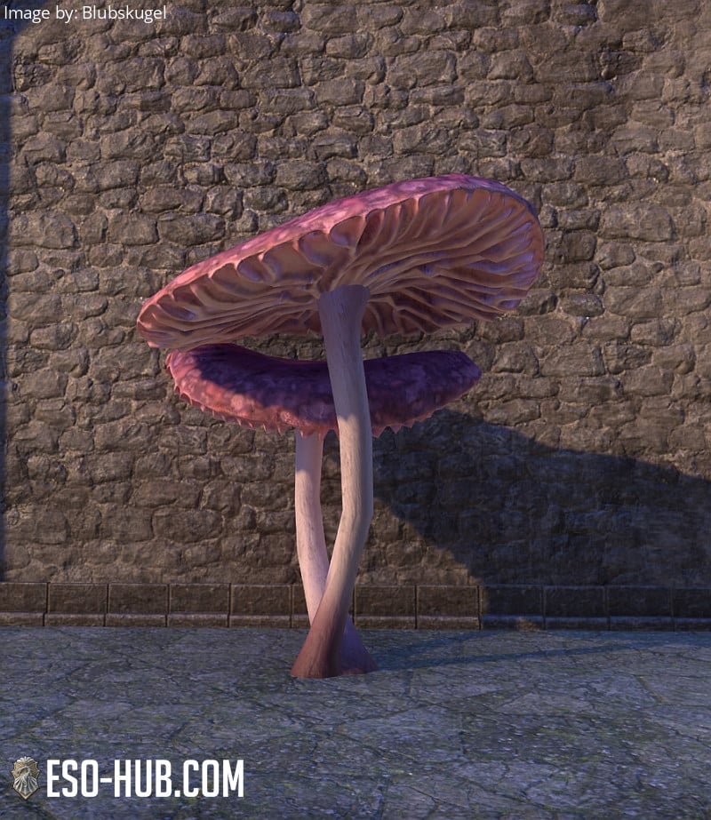 Mushroom Dual Mauve Dusk ESO Hub Elder Scrolls Online