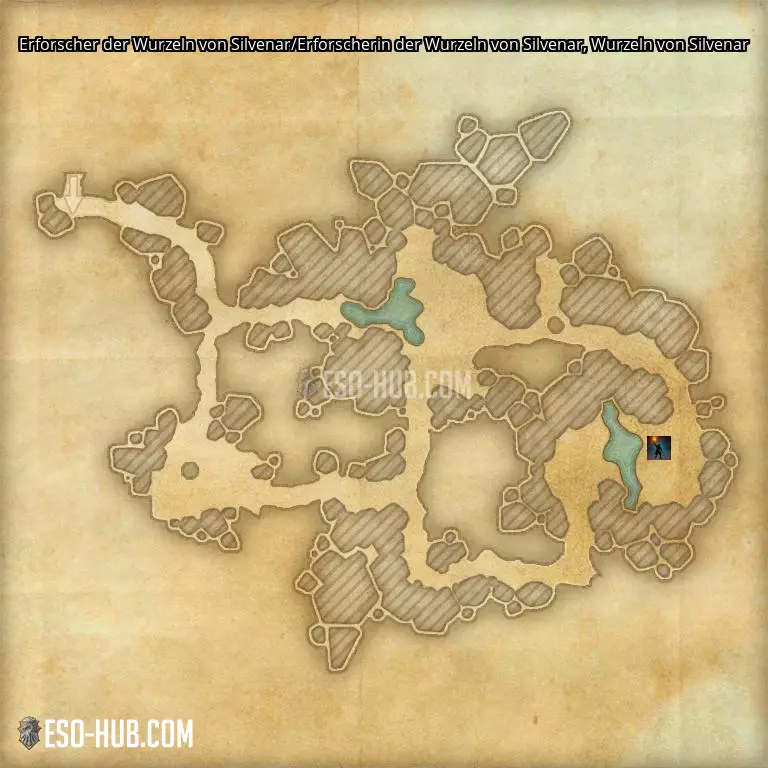 Erforscher der Wurzeln von Silvenar/Erforscherin der Wurzeln von Silvenar in Wurzeln von Silvenar Karte