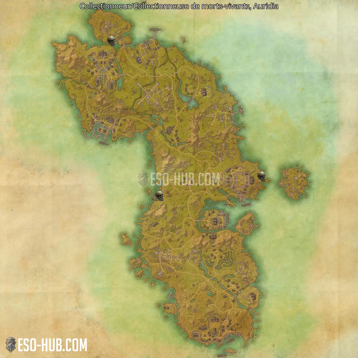 Collectionneur/Collectionneuse de morts-vivants dans Auridia carte