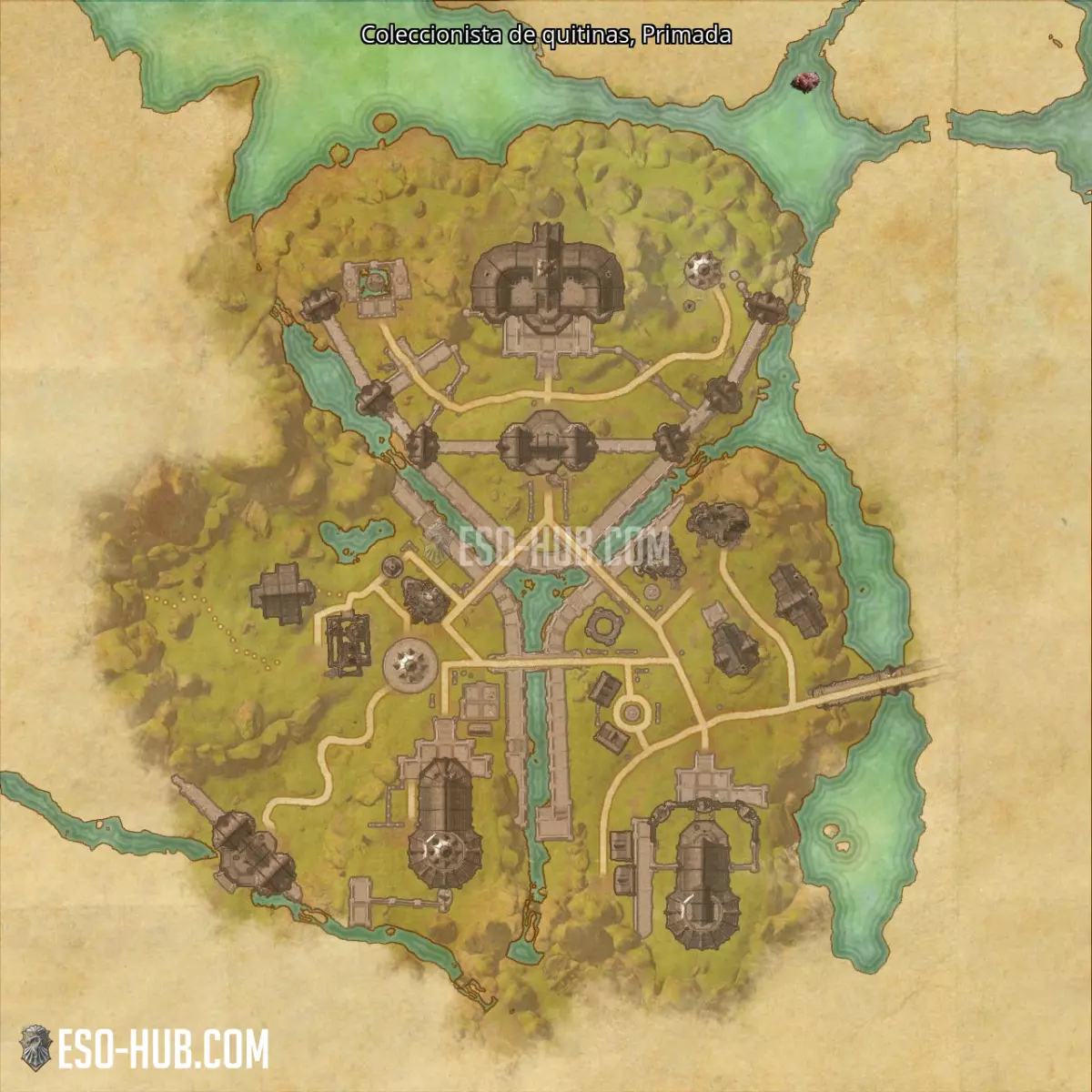 Coleccionista de quitinas en Primada mapa