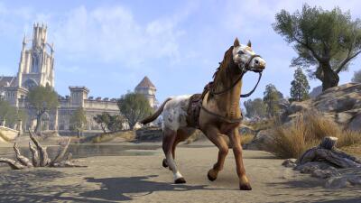 Pur-sang de la Baie d'Orsol icon