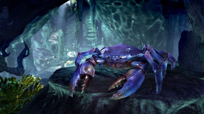 Wasten Coraldale Mudcrab icon