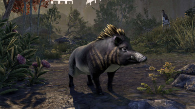 Goldspine Boar icon