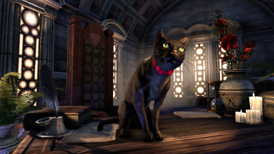 Black Cat icon