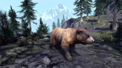 Sunback Bear Cub icon
