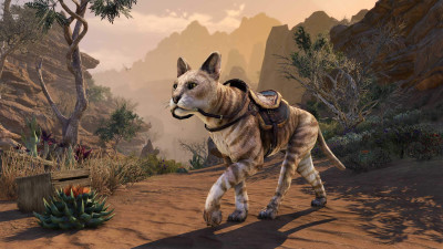 Dunecoat Senche-Serval icon