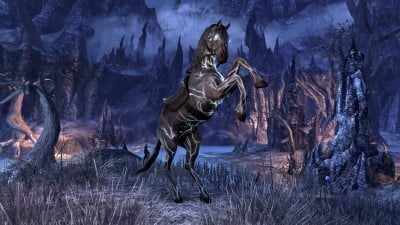 Geistberaubtes Pferd