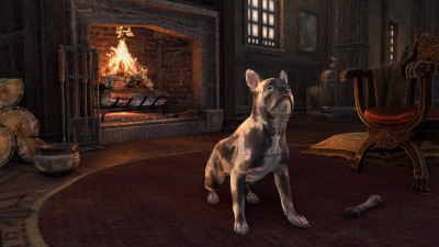 Sooty Breton Terrier icon