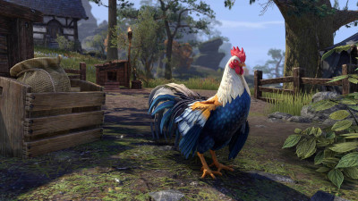 Alcaire Blue Cockeral icon