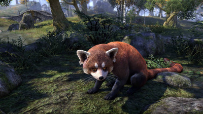 Rustbite Ringtail icon