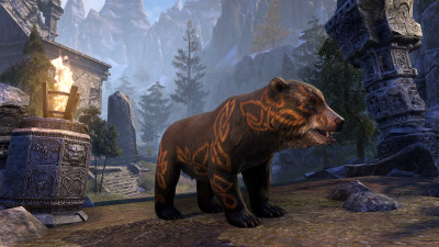 Keptu Bear Cub icon