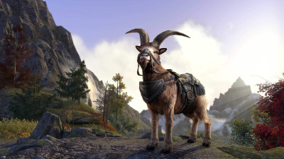 Clawhorn Mountain Goat