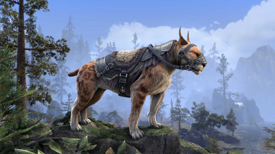 Falkreath Riding-Lynx icon