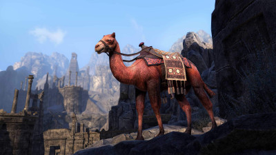 Hel Ra Camel of Kingship