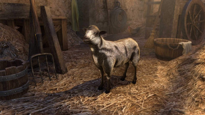 Mottled Sheep icon
