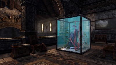 Aquarium, Abecean Coral icon