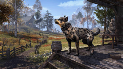 Morthal Bear-Dog icon