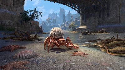 Hermit Crab icon