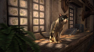 Piebald Cat icon