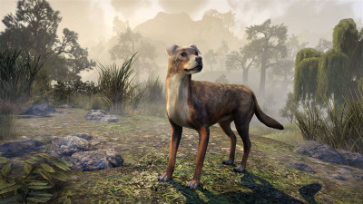 Gideon Trail Dog icon