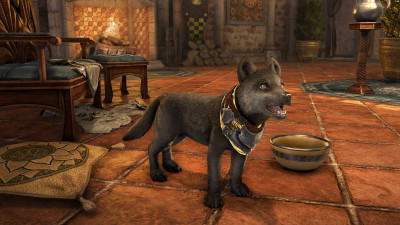 Companion's Wolf Pup icon