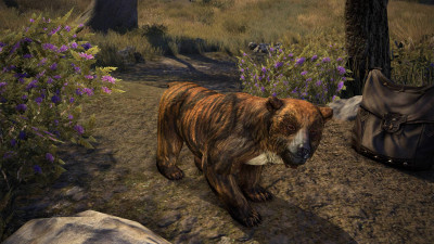 Brindle Bear Cub icon