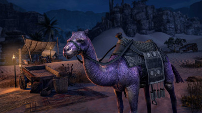Indigo Twilight Camel