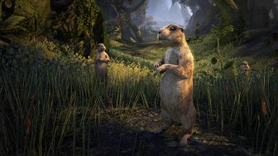 South Weald Prairie Dog icon