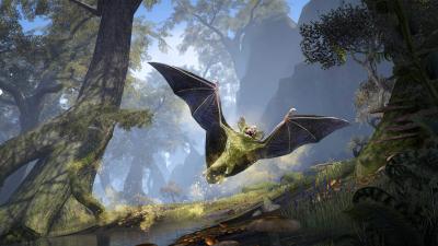 Xylo Pollen Bat icon
