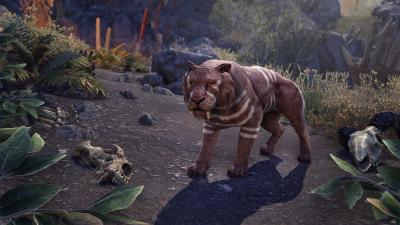 Sungard Sabre Cat icon