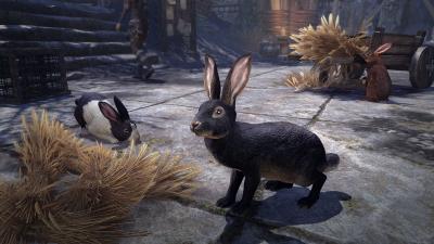 Understone Obsidian Hare icon