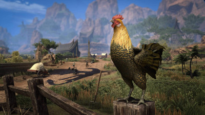 Shezarr's Chicken icon