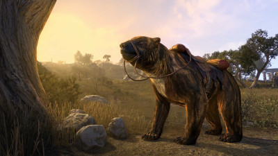 Brindle Bear icon
