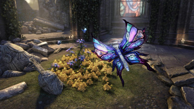 Stainedwing Butterfly icon