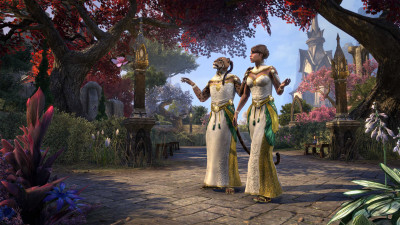 Queen Ayrenn's Diamond Gown icon