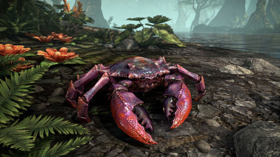 Strid River Crab - ESO Hub - Elder Scrolls Online