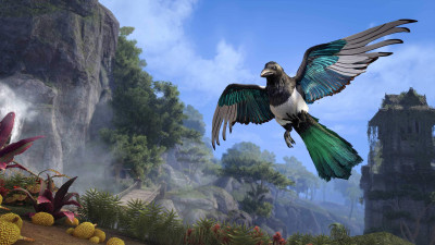 Moorpecker Magpie icon