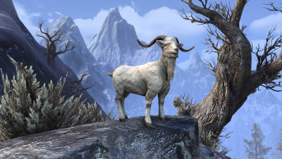 Ninendava Sacred Goat
