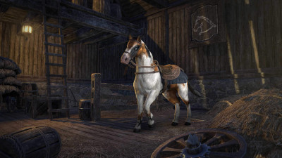 Arenthian Skewbald Horse icon