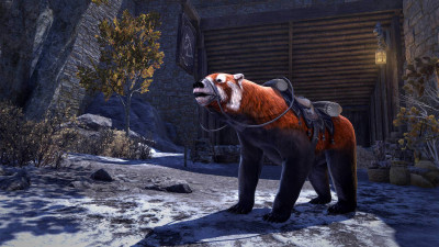 Wind Keep Bear icon