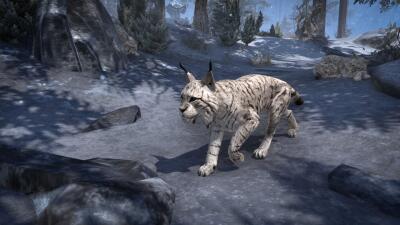 Orsinium Tiger-Lynx Cub icon