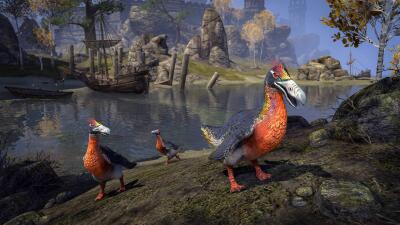 Northpoint Chub Loon icon