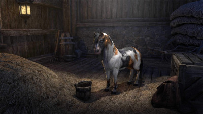 Arenthisches Scheckenpony icon
