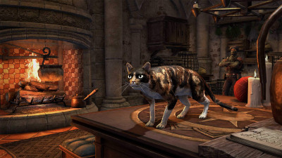 Silsailen-Schildpattkatze icon