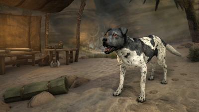 War Veteran's Hunting Dog icon
