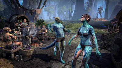 Dawnwood Tender's Skin icon