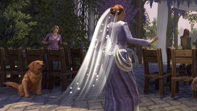Shimmering Gala Gown Veil icon