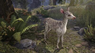 Dragonstar Fawn icon