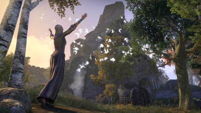 Tauben freilassen icon